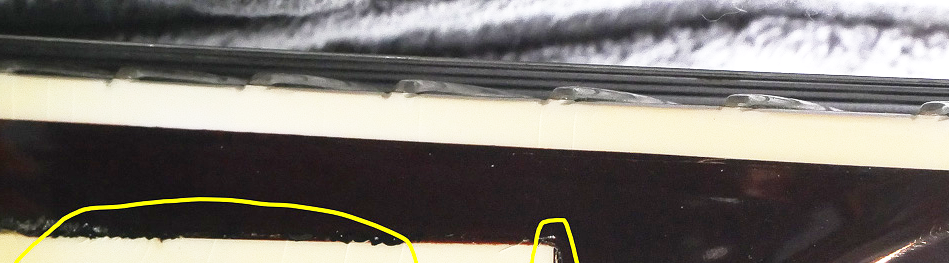 How likely is a hand carved archtop surviving a week lost in 12&deg;F weather???-frets-png