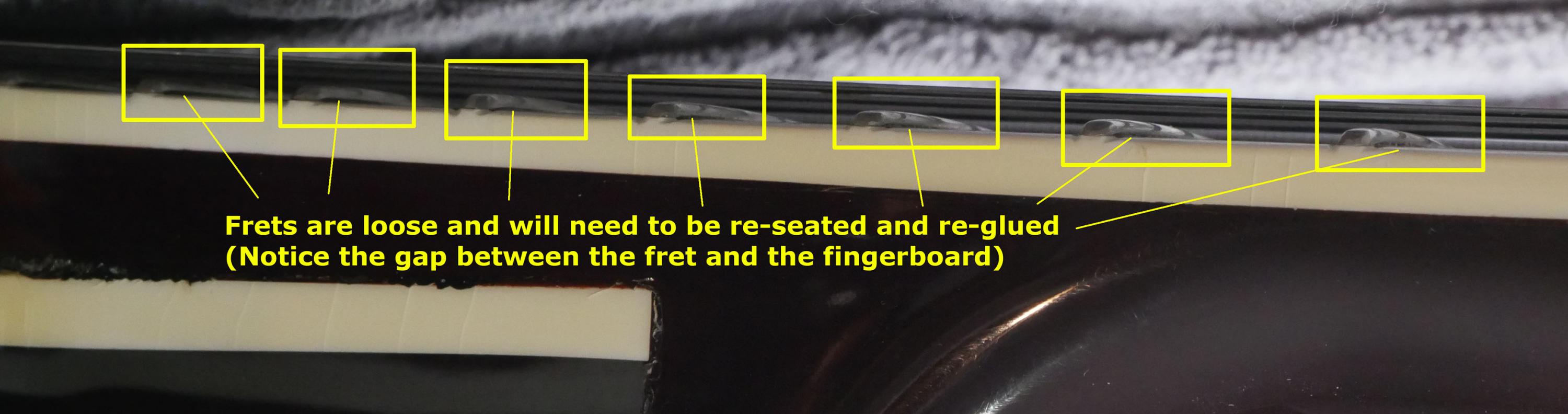 How likely is a hand carved archtop surviving a week lost in 12&deg;F weather???-bambino-loose-frets-jpg