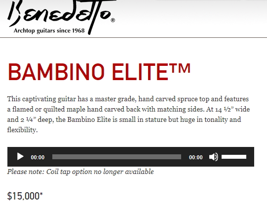 How likely is a hand carved archtop surviving a week lost in 12&deg;F weather???-benedetto_bambino_elite_price-jpg