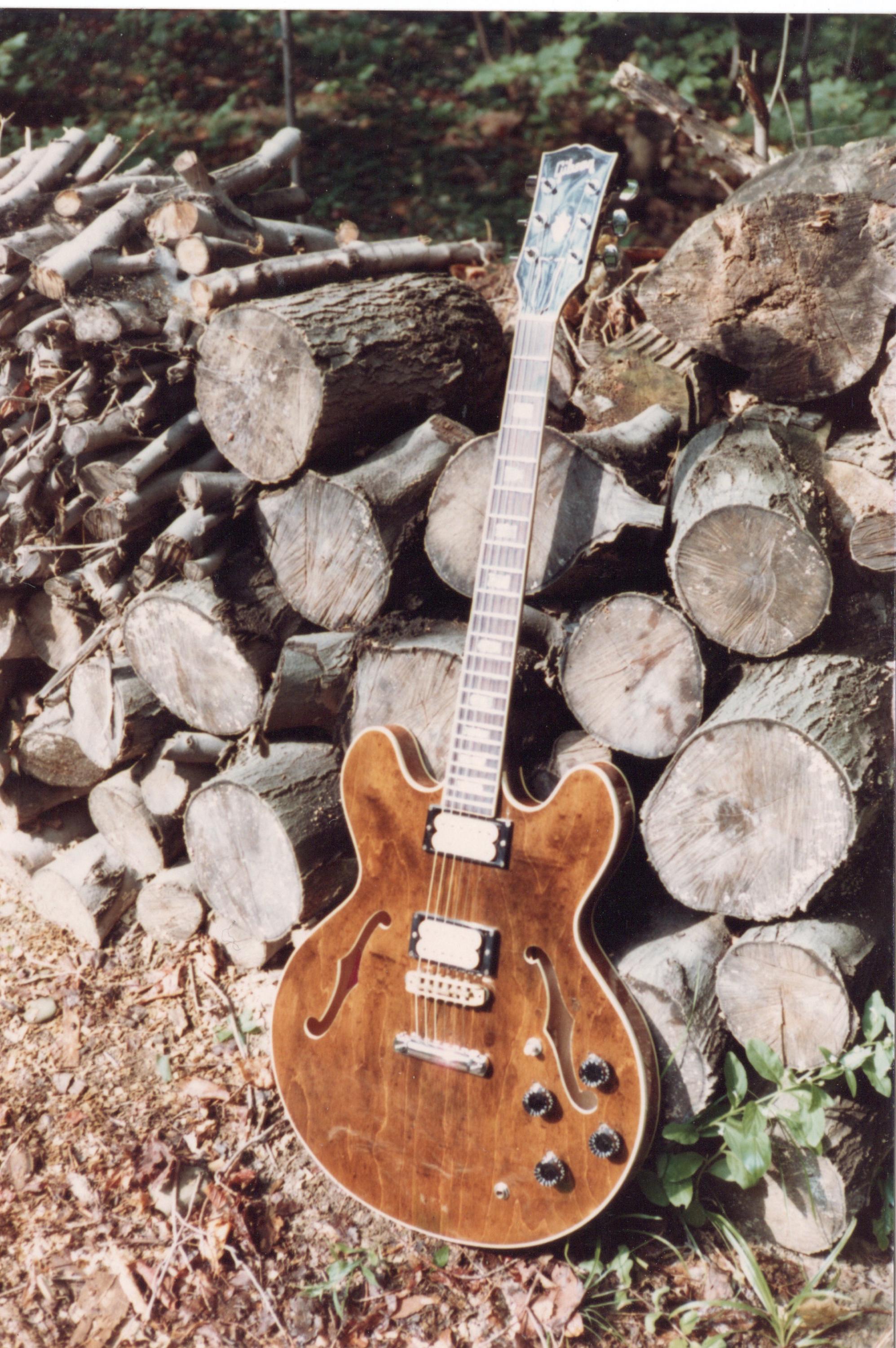Share your ES-335-335-jpg