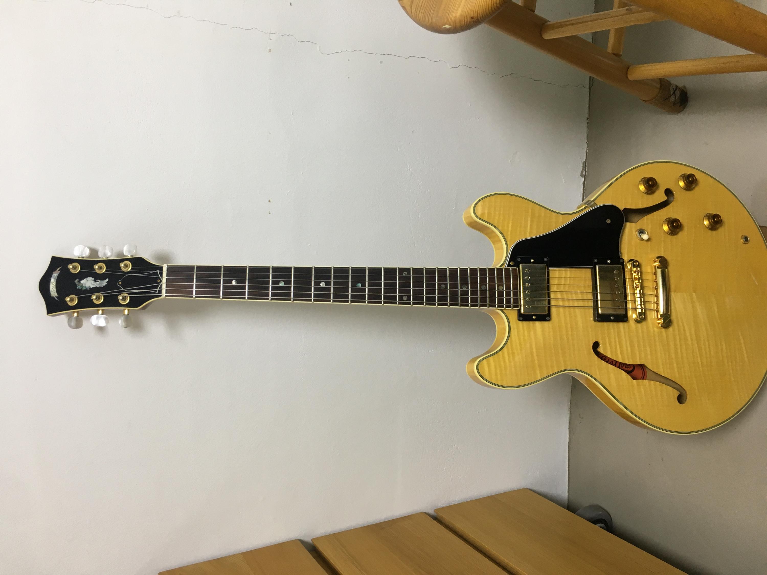 Alternatives to the Gibson ES-335-ab6b3358-bd6c-41c5-9a40-85005891c947-jpg