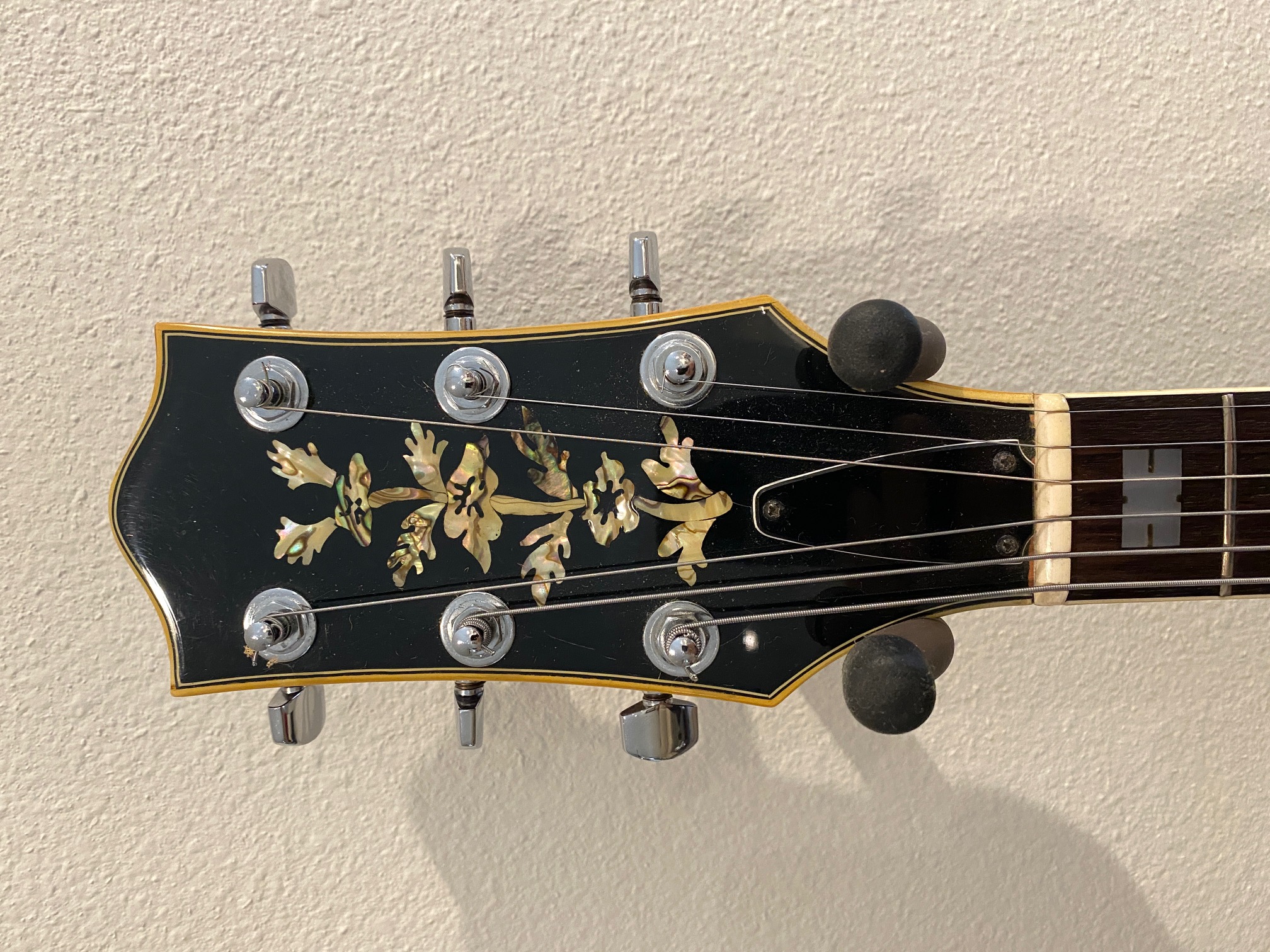 Howard Roberts/Neil LeVang's Aria Prototype-img_1207-jpg