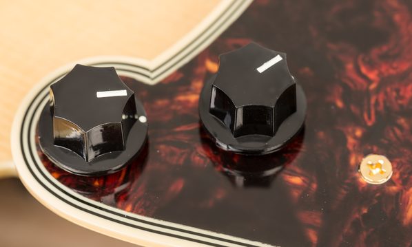 Guild Rhythm Chief 1100 - Potentiometer question-csm_d_angelico_exl_1_nat_026fin_d77b099140-jpg