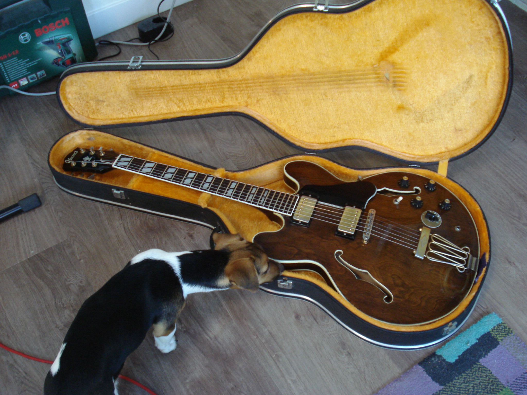 Your Preferred ES-335 Based (Non-Gibson) Guitar-dsc00559-jpg