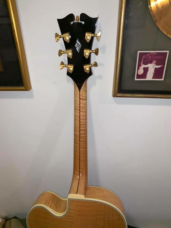 Heritage D'Angelico New Yorker-51859848844_7b1228491a_c-jpg