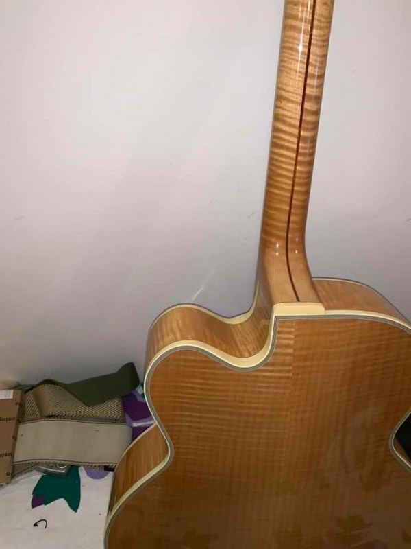 Heritage D'Angelico New Yorker-51859514001_4752bb145e_c-jpg