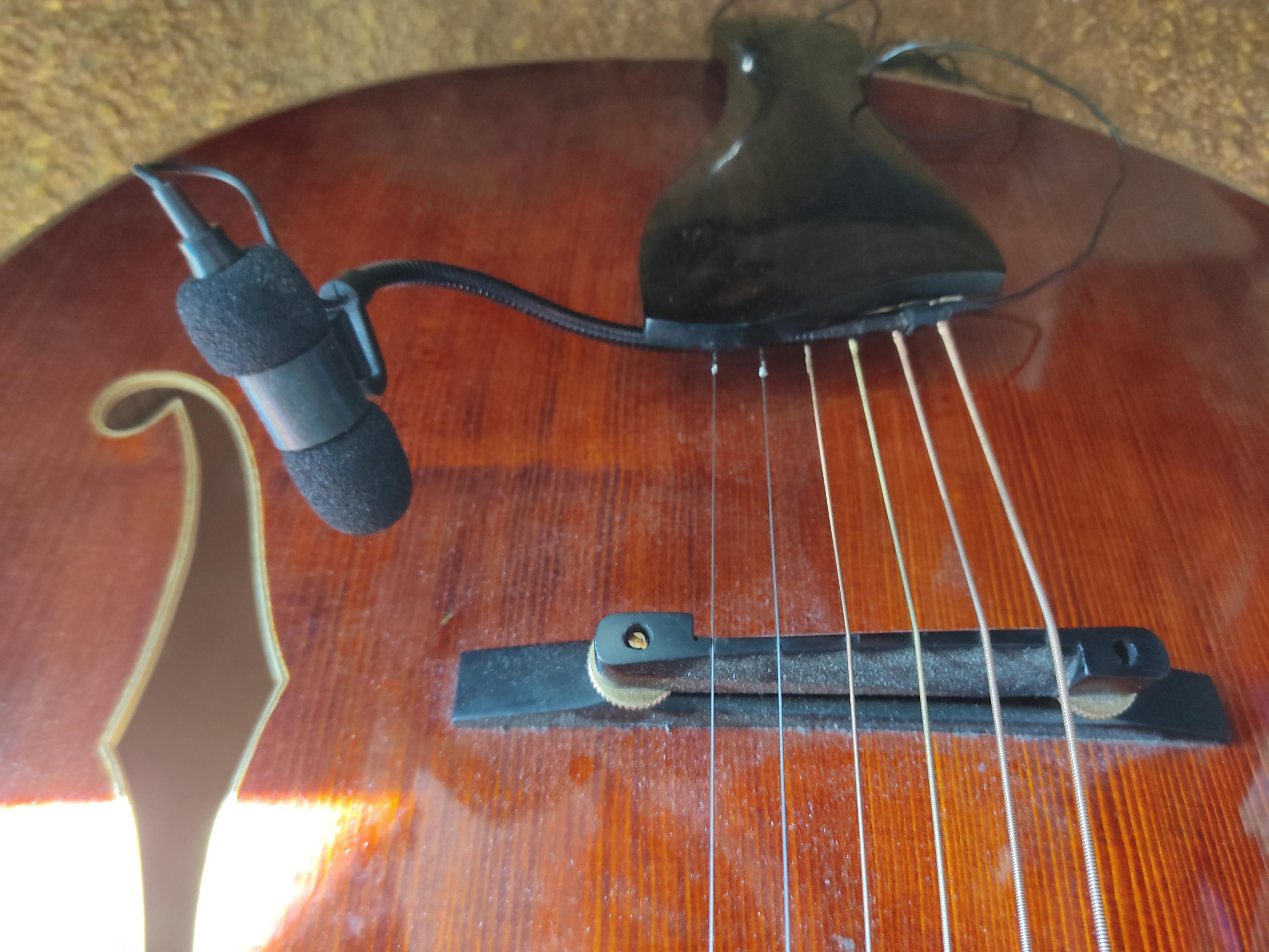 Goose neck condenser for archtop-16463165767566140686075580552676-jpg