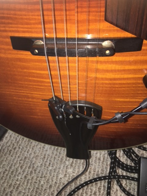 Goose neck condenser for archtop-mic-clip1-jpg