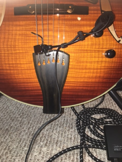 Goose neck condenser for archtop-mic-clip2-jpg