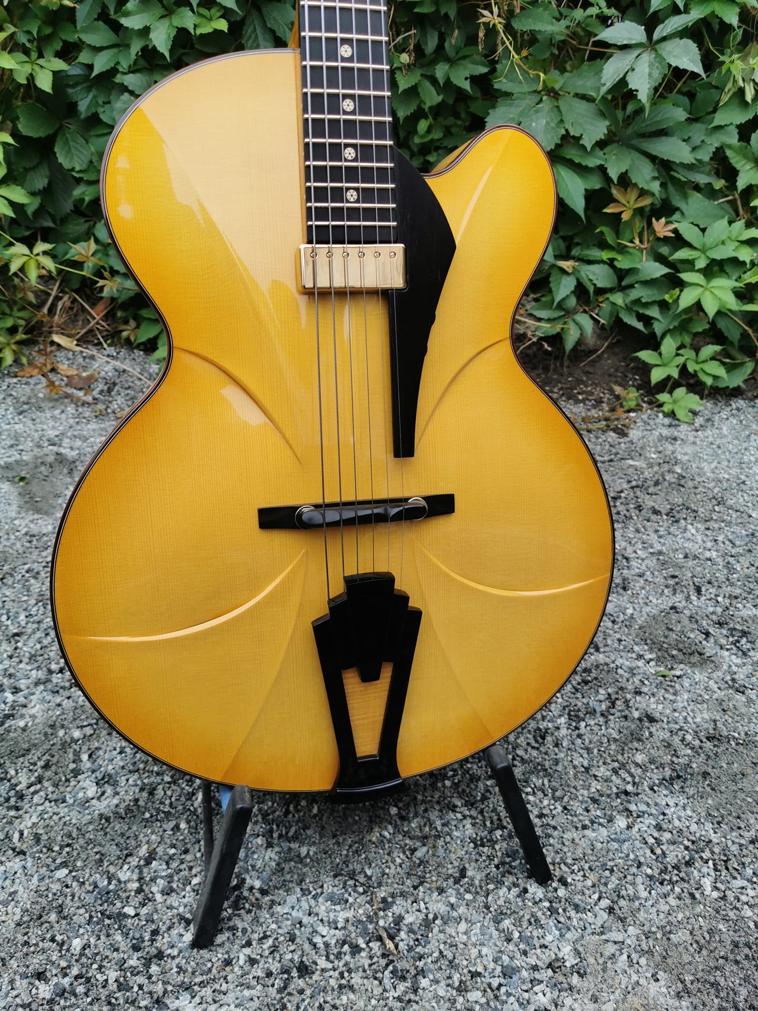 Tailpiece Appreciation Thread!-beauregard-guitar-jpeg