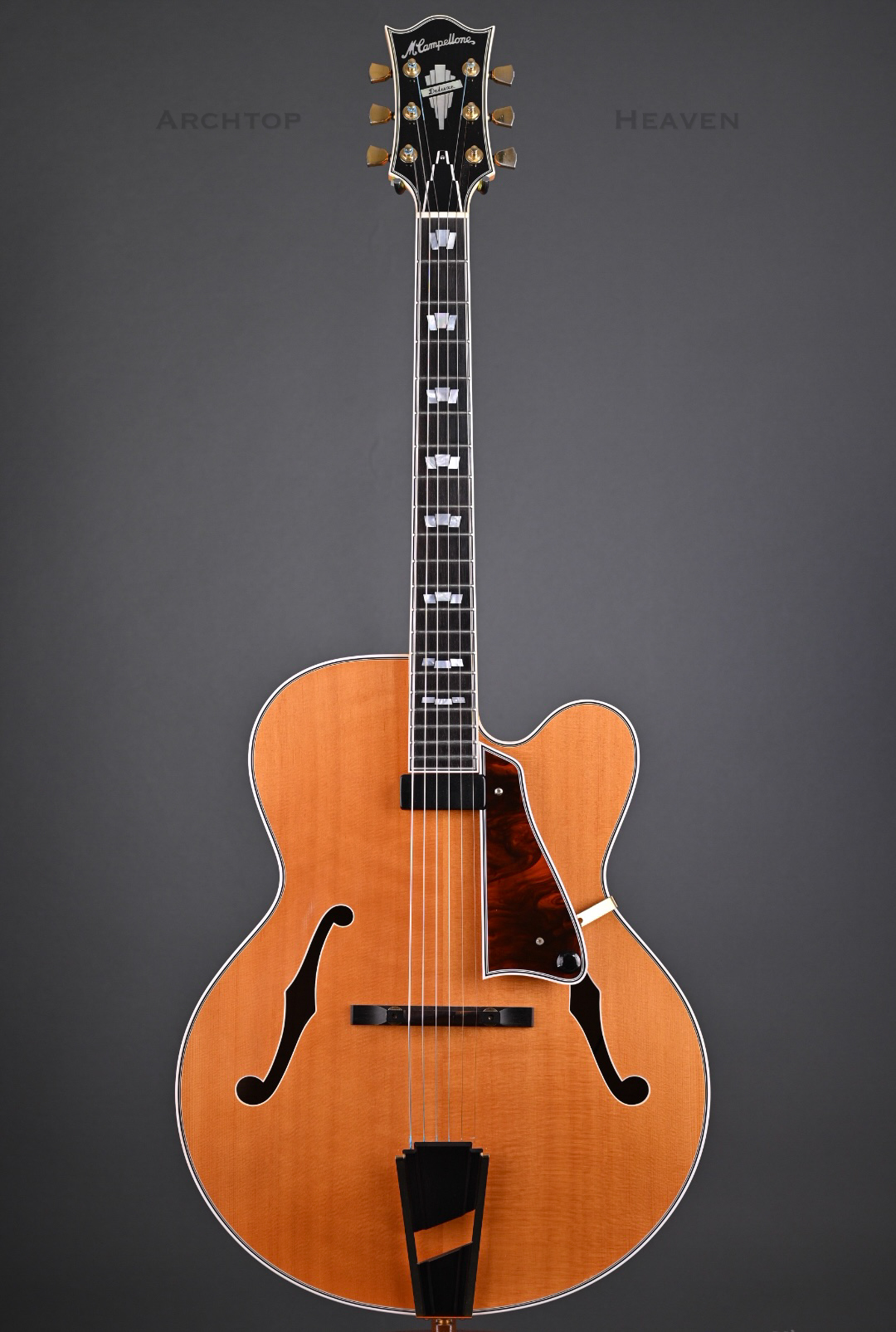 Random Guitar Pics-img_0703-jpg