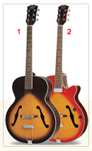 J&amp;D AG-10 Hollowbody - cheap but plays beautifully-j-d-ag10-closeup-png