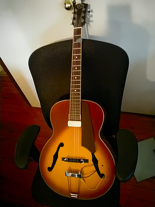 J&amp;D AG-10 Hollowbody - cheap but plays beautifully-dsc_0043-jpg