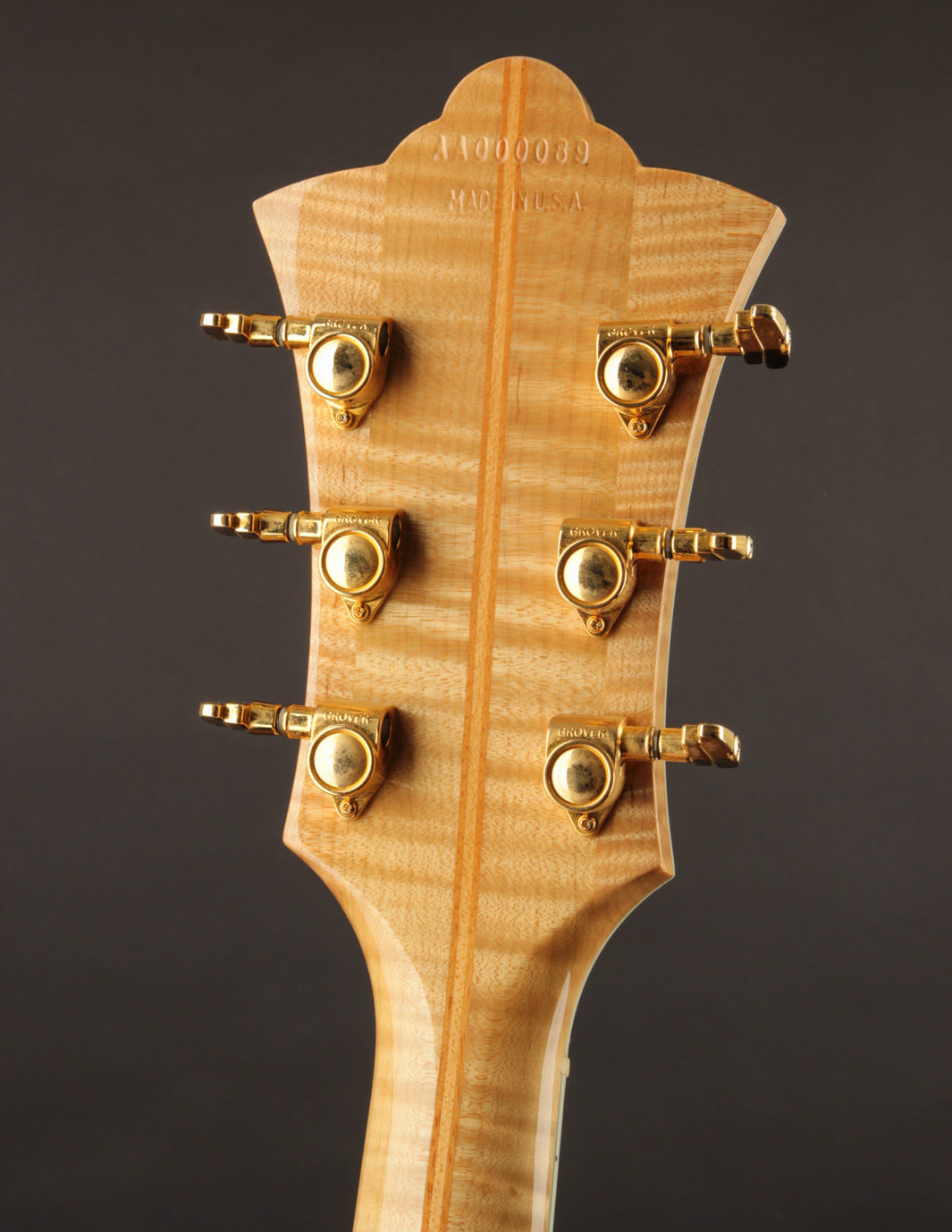 Guild Artist Award-aa-15-jpg