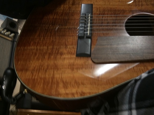 Thinline Options - Output Jack on Front-wireless2-jpg