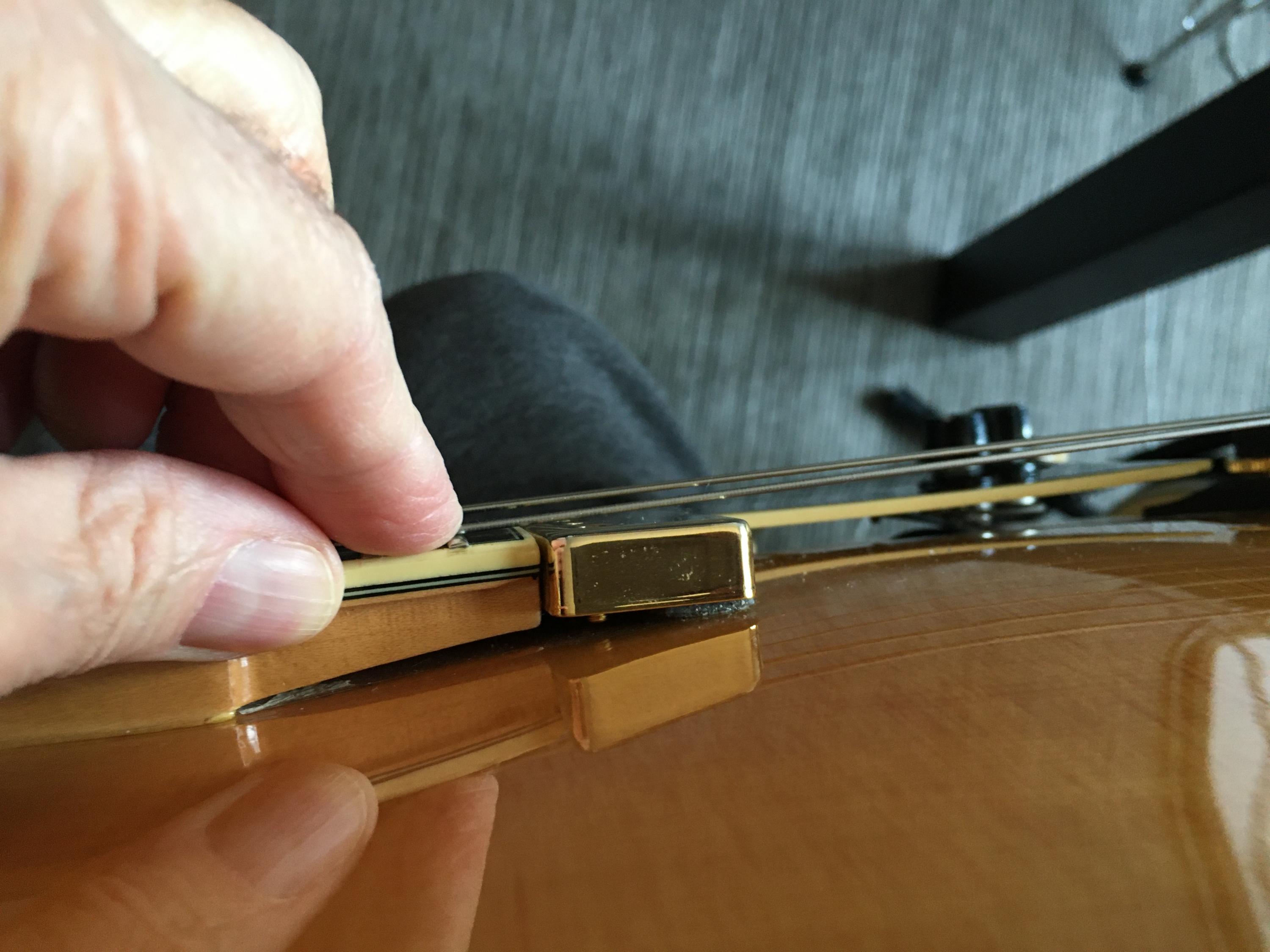 D'angelico EXL-1 floating pickup-1805c47a-b9ad-4ef7-b243-4907325cb472-jpg