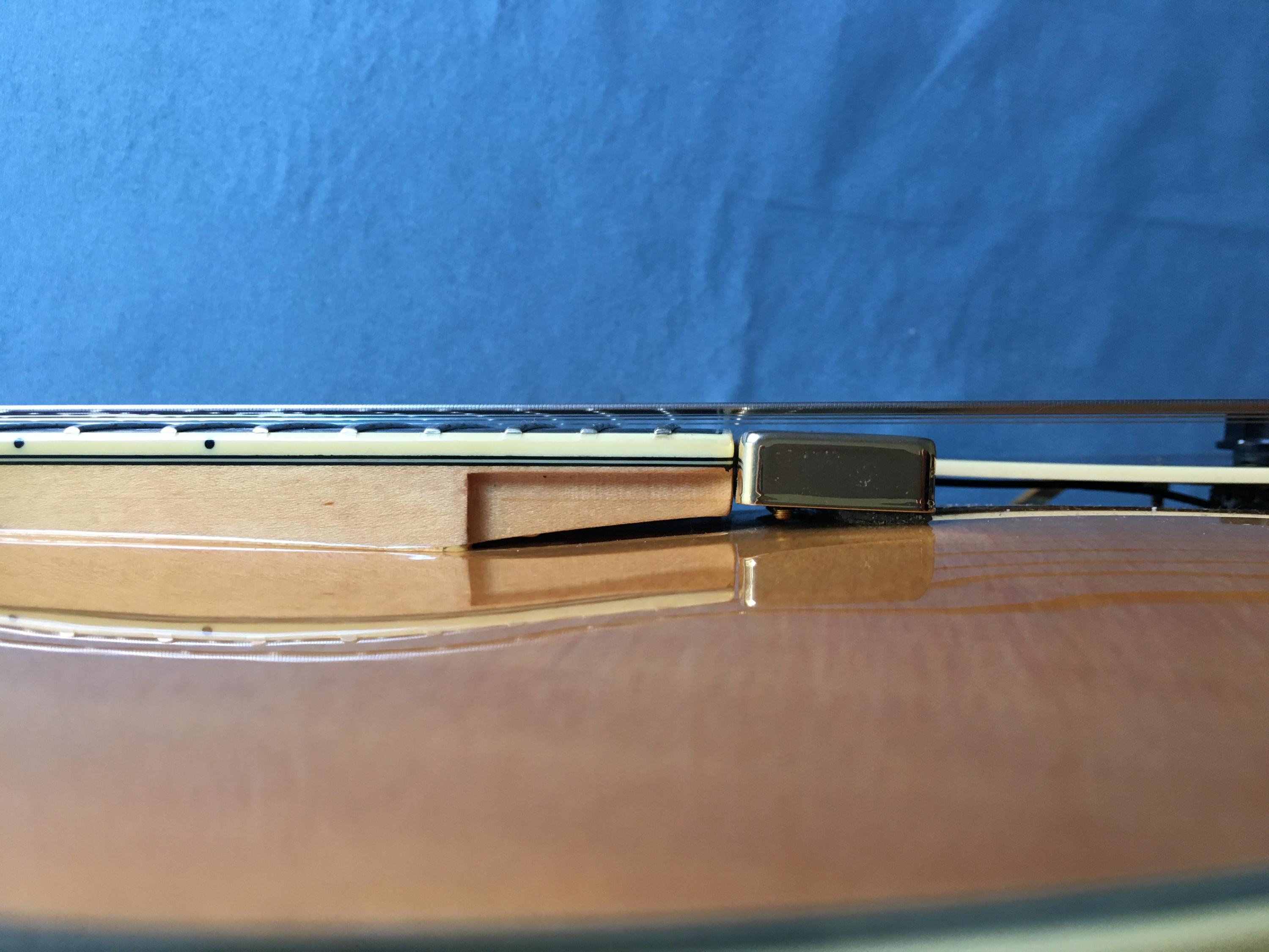 D'angelico EXL-1 floating pickup-2571aaa5-d3af-4f10-bc4e-d215fde8c929-jpg