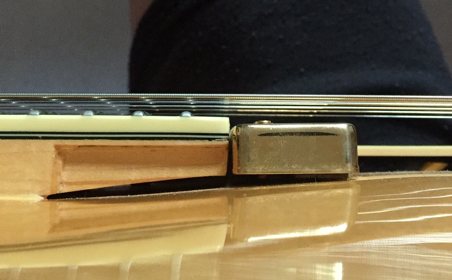 D'angelico EXL-1 floating pickup-01-jpg