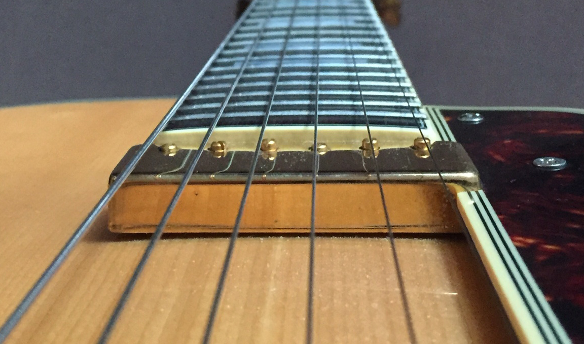 D'angelico EXL-1 floating pickup-02-jpg
