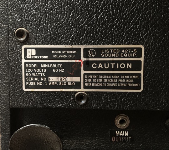 Appreciate help with Polytone Mini-Brute Amp-img_0405-jpg