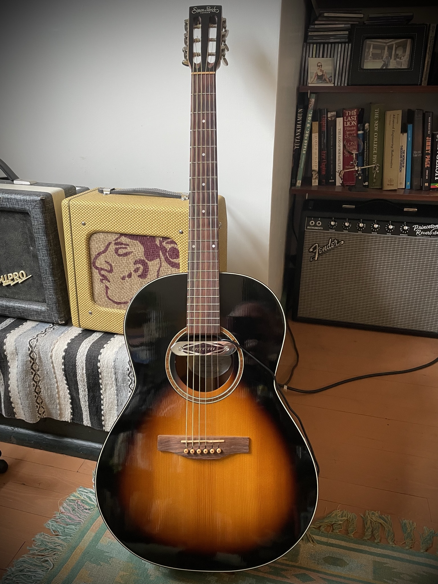 Acoustic Parlor Guitar&mdash;Plectrum style-a0069f96-4e81-4e11-aa68-363a0aab2dcf-jpeg