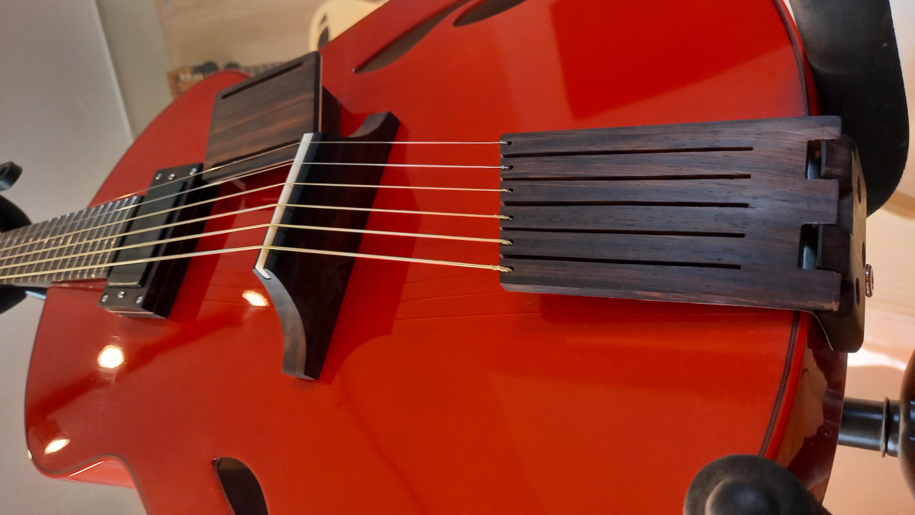 Caro y Topete Archtop-20220518_161702-jpg