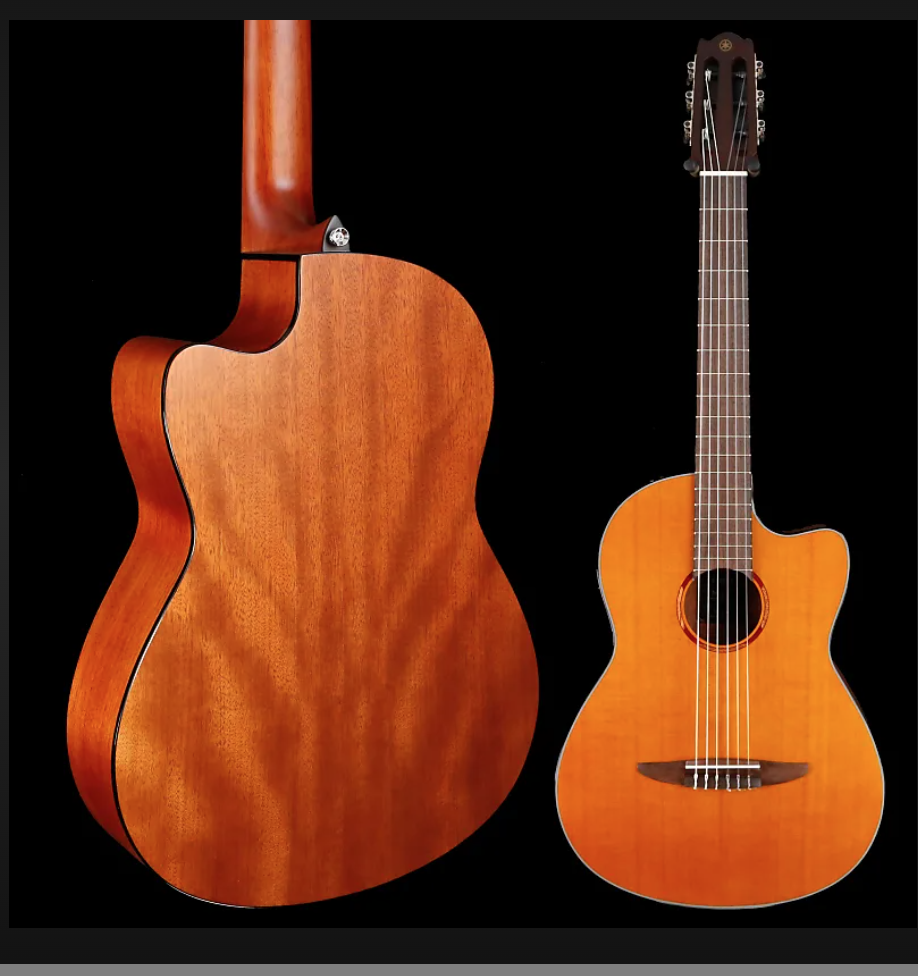 School Me on Classical Guitars-screen-shot-2022-06-05-7-54-23-pm-png