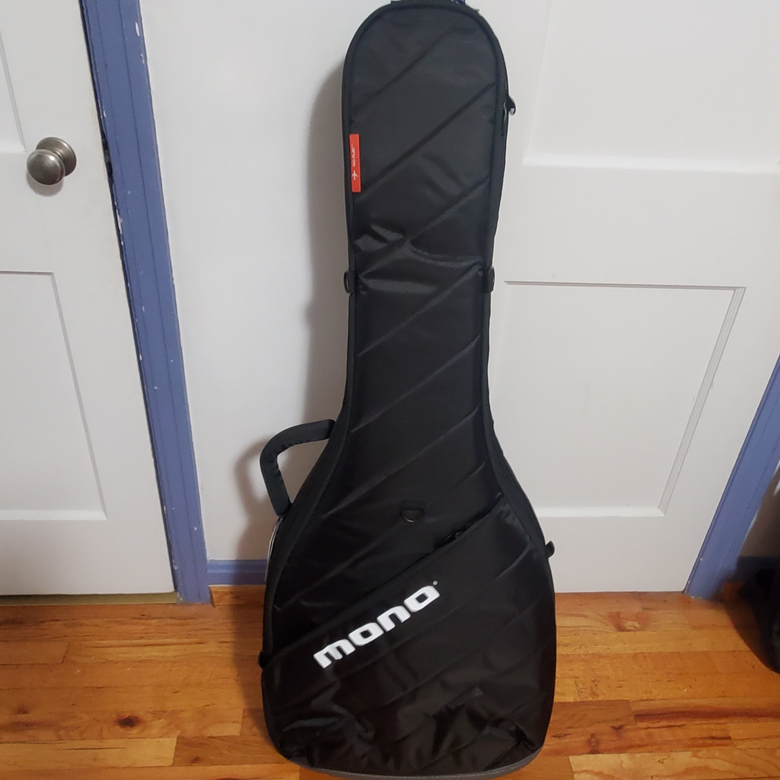 Gig bag?-mono-jpg