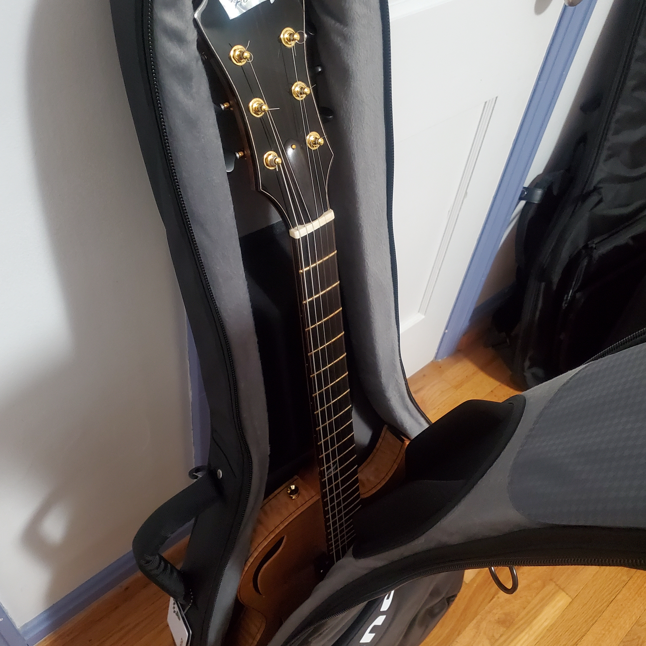 Gig bag?-mono-holst-top-jpg