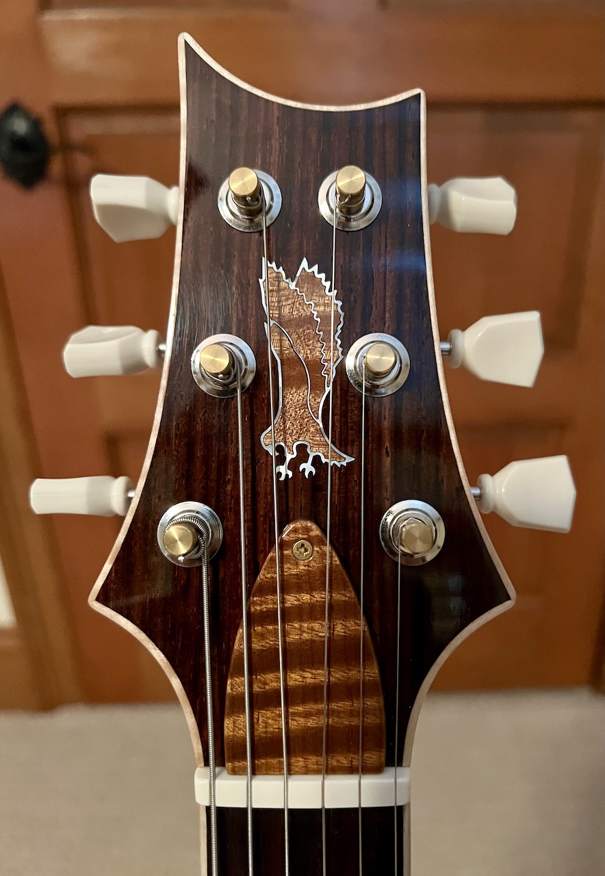 PRS Solid Body-4-jpeg