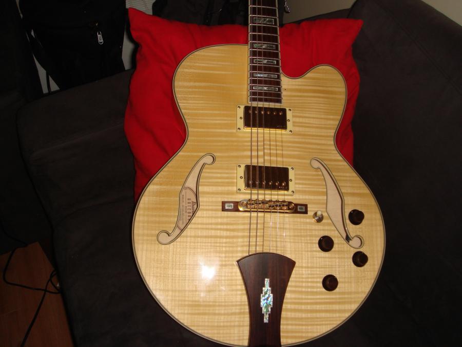 Ibanez Artcore AF105-dsc04668-jpg