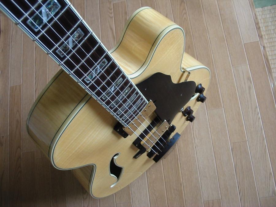 Ibanez Artcore AF105-photo-013-jpg