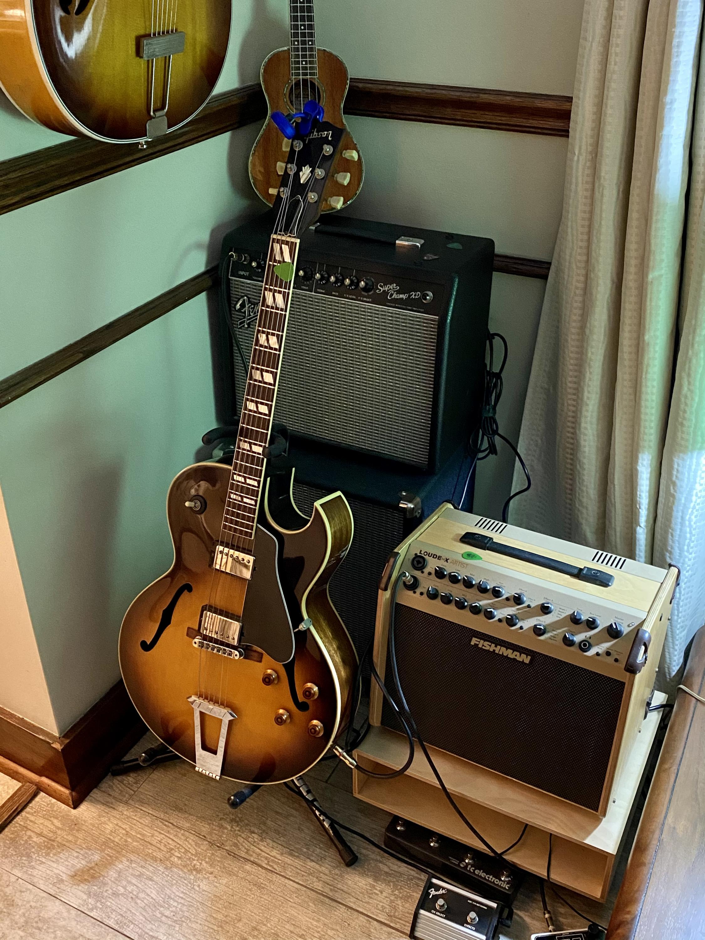 Gibson ES-175 Newbie-dbbe594b-8bbe-4ecf-b93b-eec496207ed6-jpg