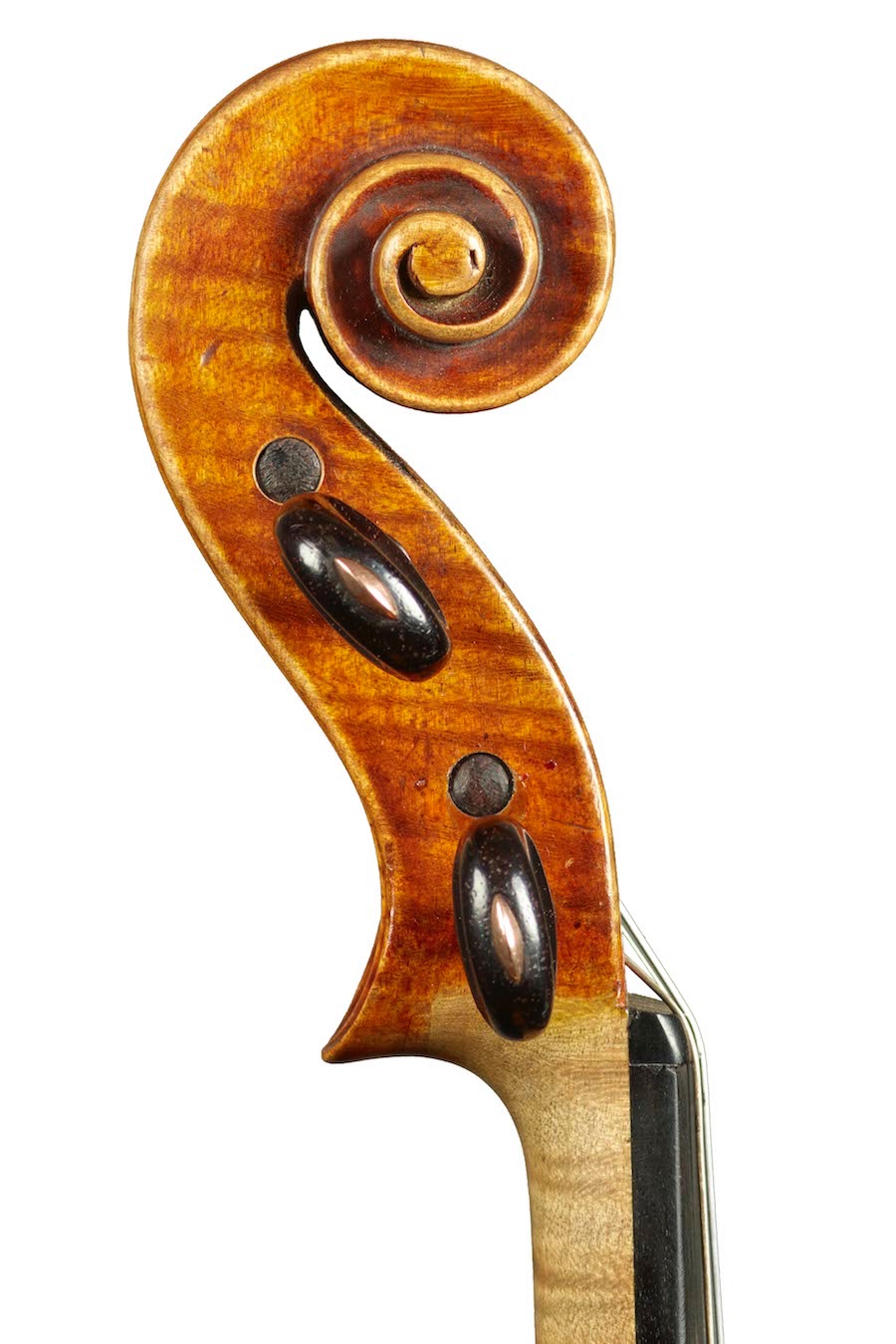 Volutes!-476a61cd-fe45-458d-ab19-690d0ded1e0b-jpeg