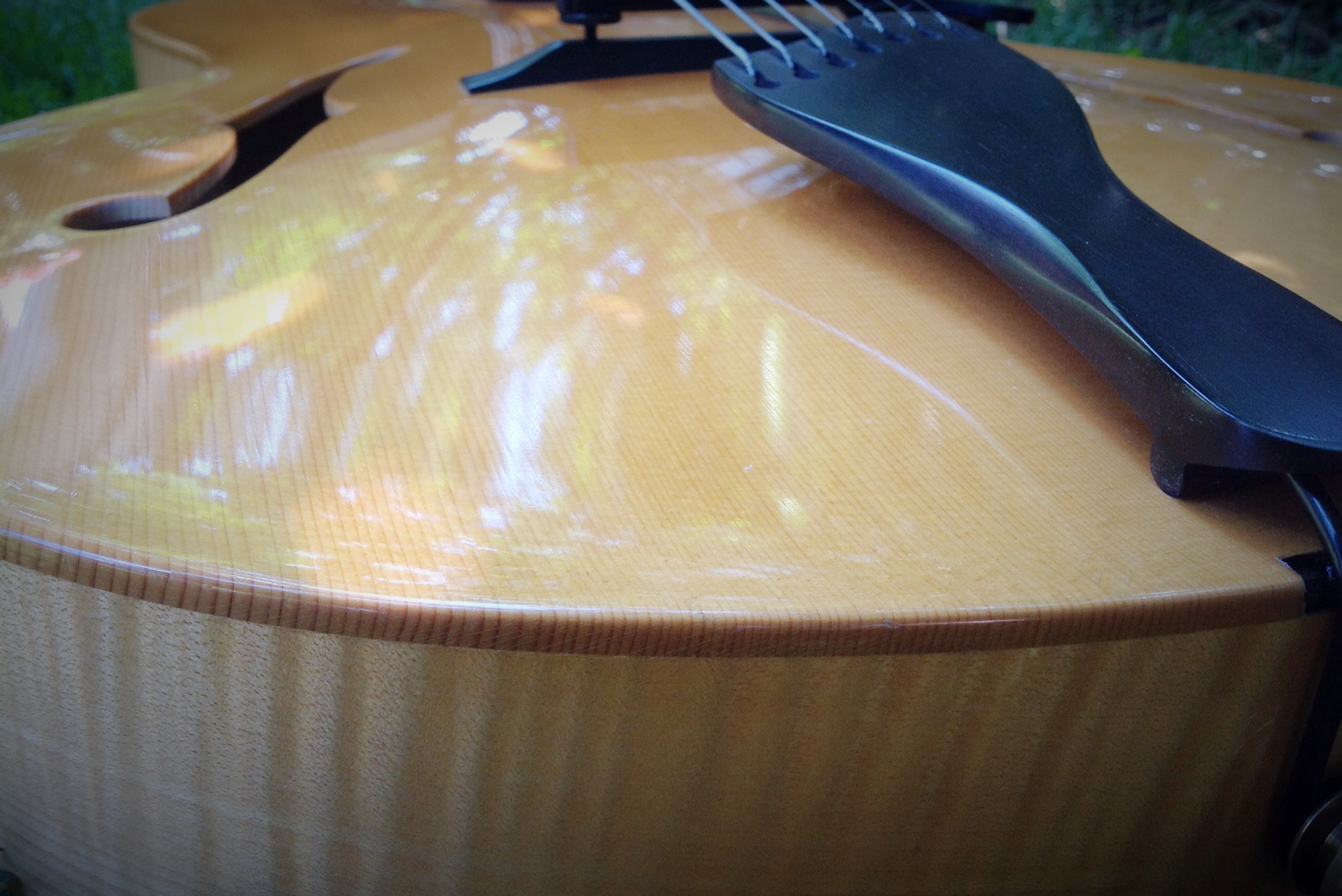 Dale Unger carved archtop ?-35e655d4-ea18-4a35-95cd-0e5d3a252b5e-jpeg