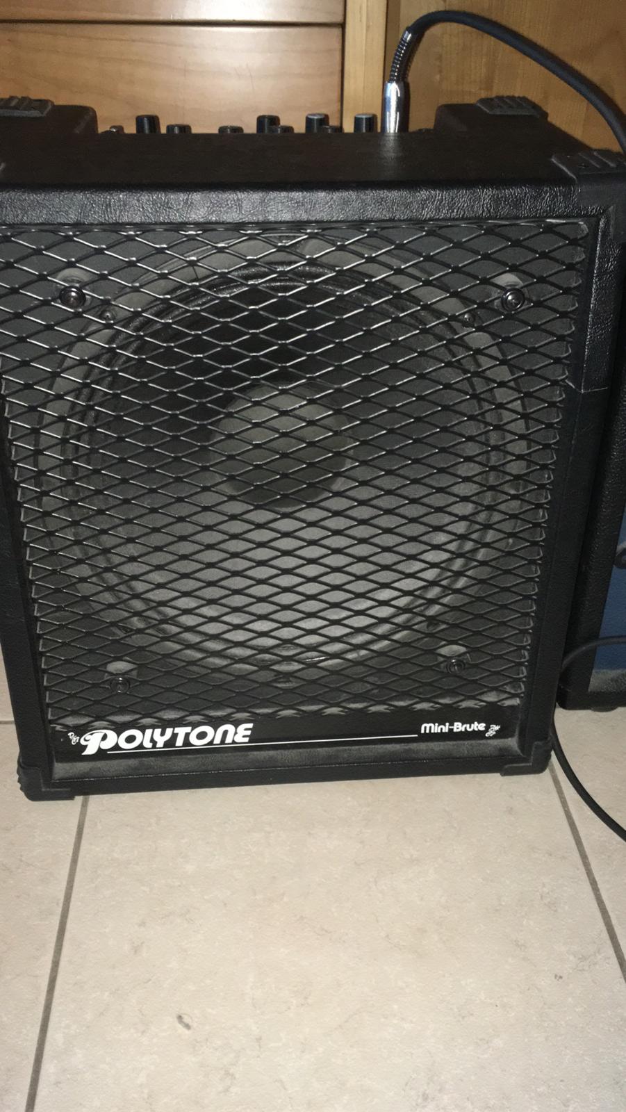 What is it about Polytone amps?-polytone2-jpg