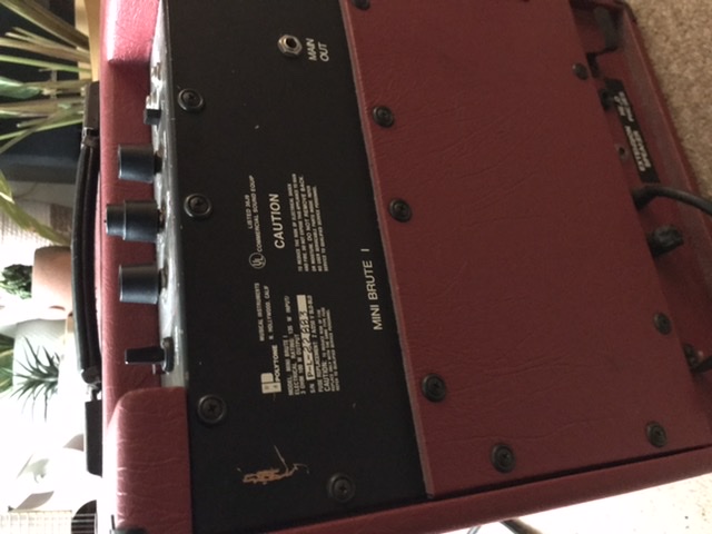 What is it about Polytone amps?-92b987cf-1889-43ee-ab50-fdd9c6ef1ab5-jpeg