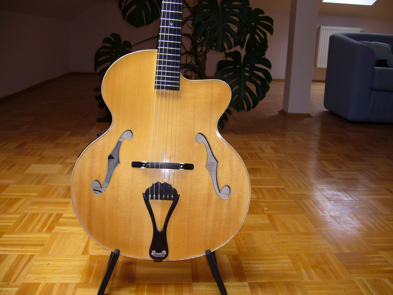 Henneken Concerto nylon string archtop?-hen-2-jpg