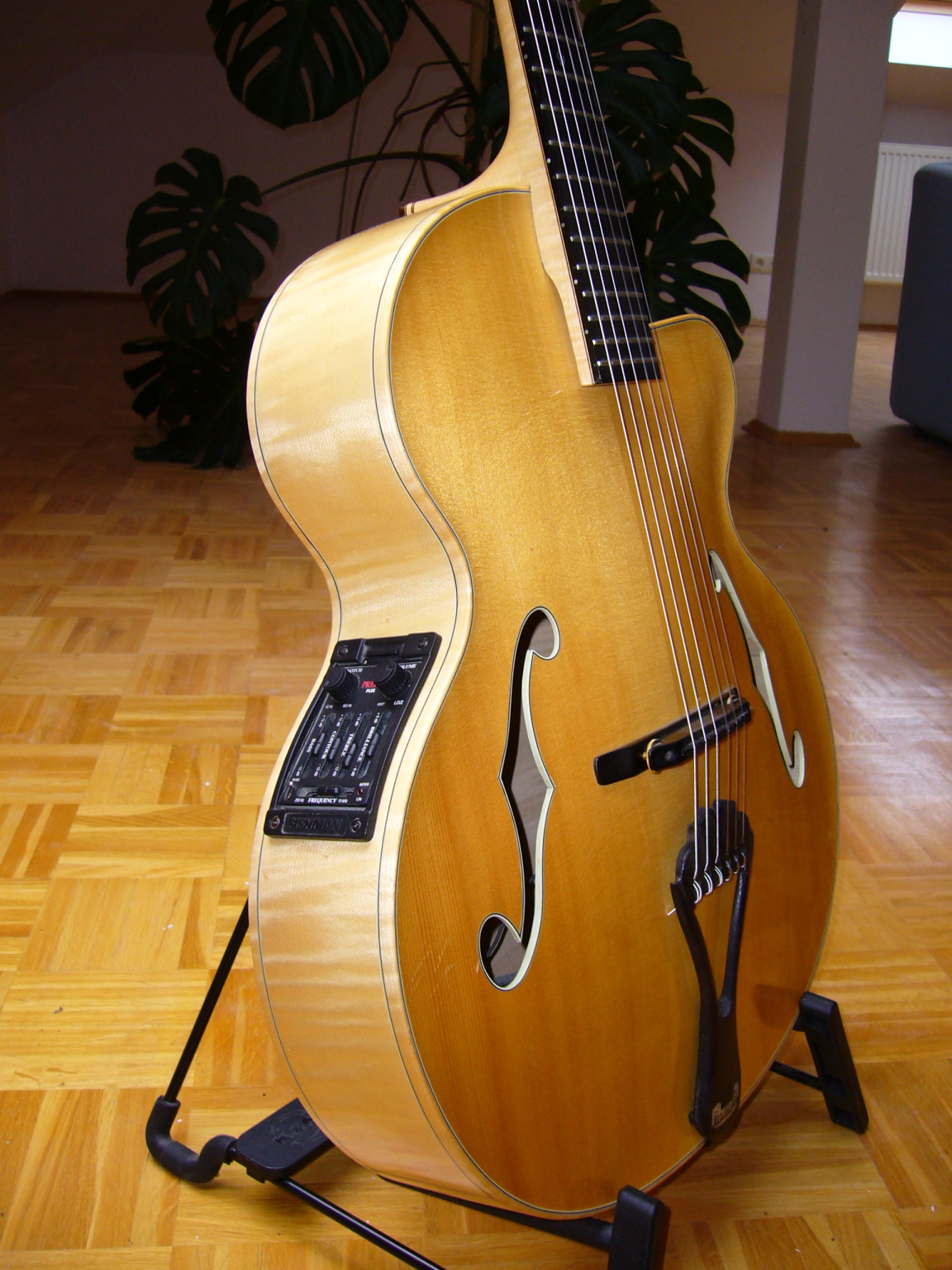 Nylon string archtop hotsell