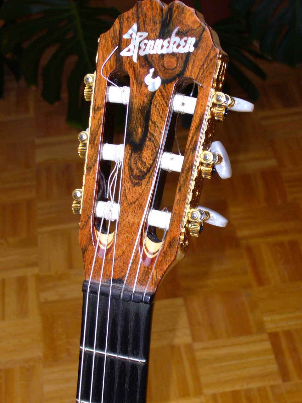 Henneken Concerto nylon string archtop?-hen-4-jpg