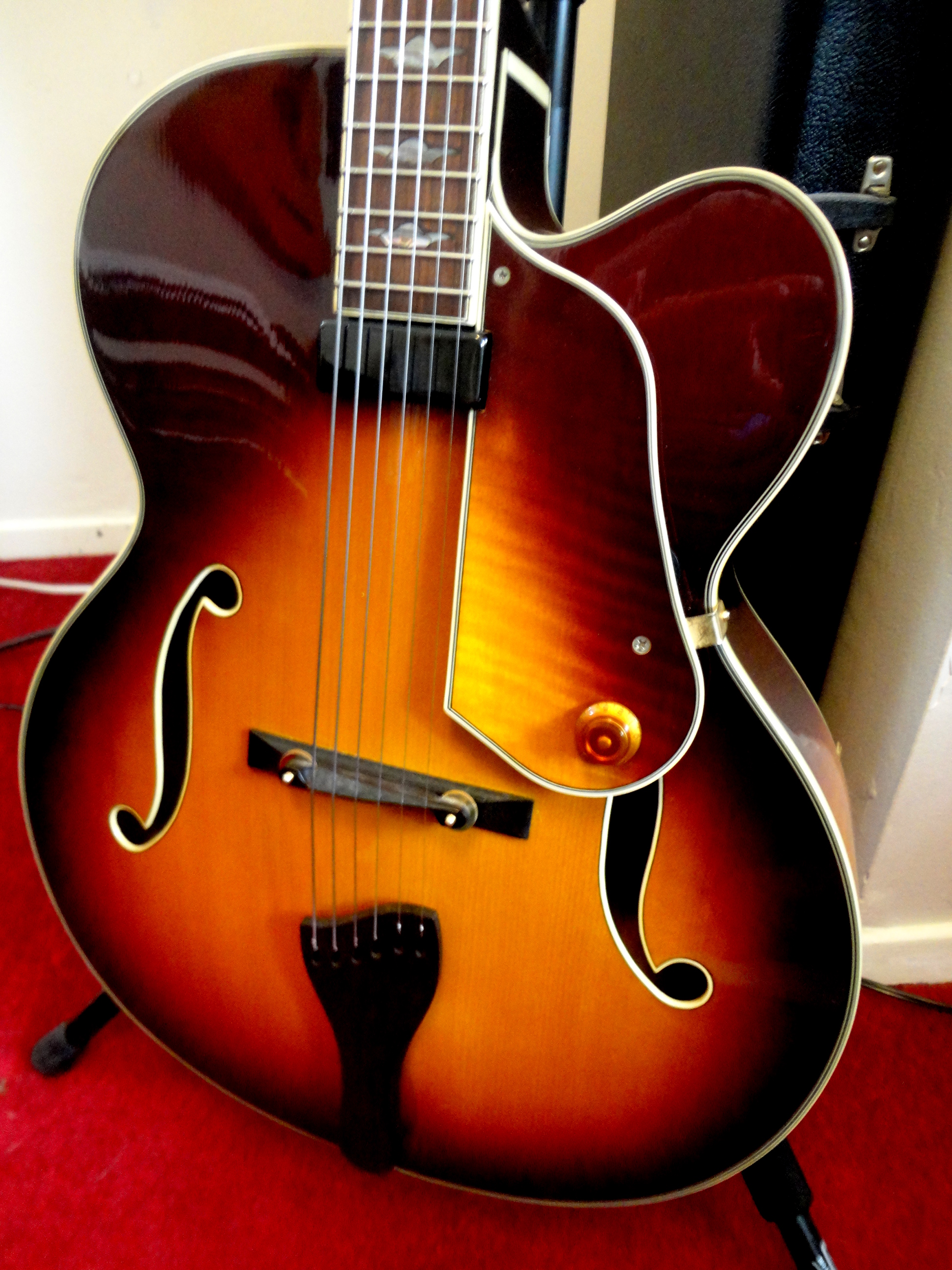 Washburn J600-dsc07848-jpg