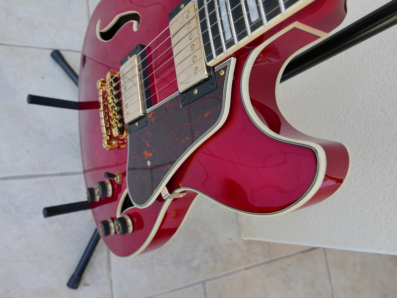 Ibanez Artcore Expressionist - generic replacement tuners anyone?-p1000124-jpg