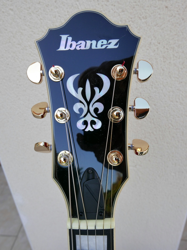 Ibanez Artcore Expressionist - generic replacement tuners anyone?-p1000121-jpg