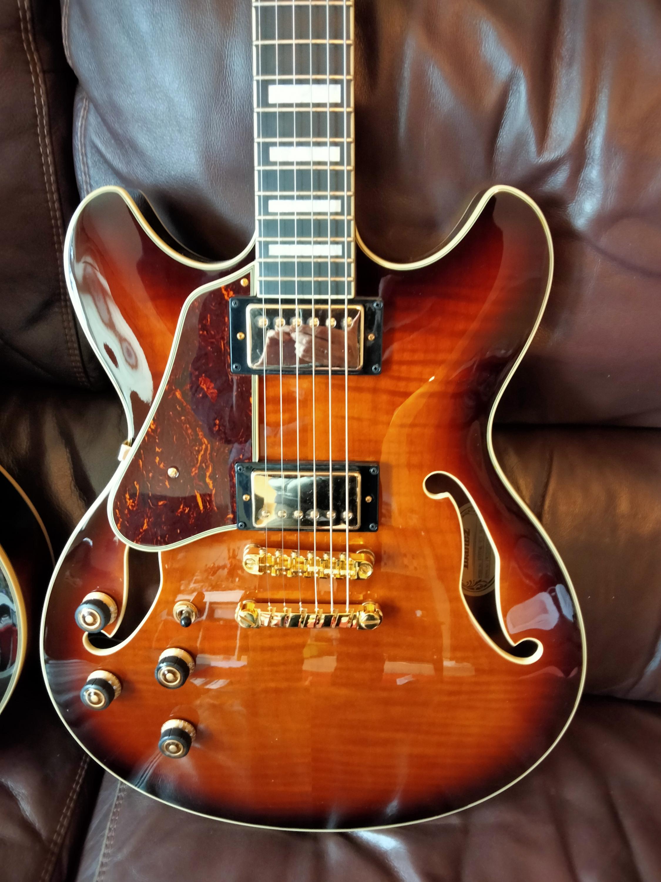 Which strings for my semi hollow Ibanez AS93?-img20220927133822-jpg