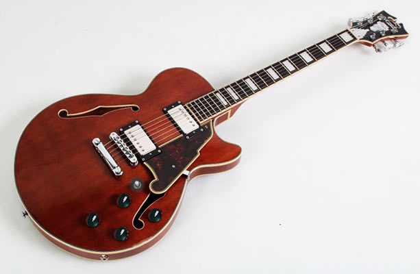 Your Preferred ES-335 Based (Non-Gibson) Guitar-dangelico-ss-side-jpg