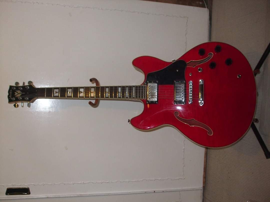 Your Preferred ES-335 Based (Non-Gibson) Guitar-fb_img_1587026734589-jpg