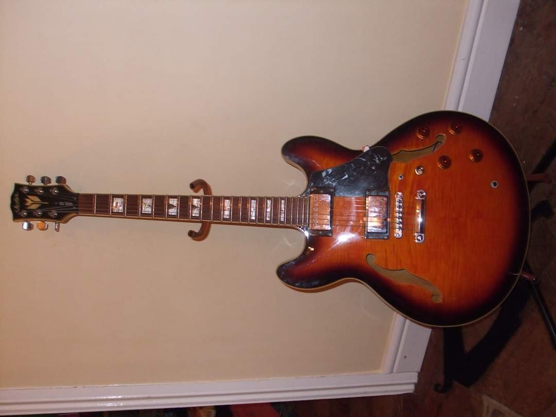Your Preferred ES-335 Based (Non-Gibson) Guitar-fb_img_1587027167768-jpg