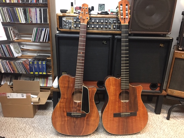 Inexpensive nylon string acoustic-electrics-carvins-jpg