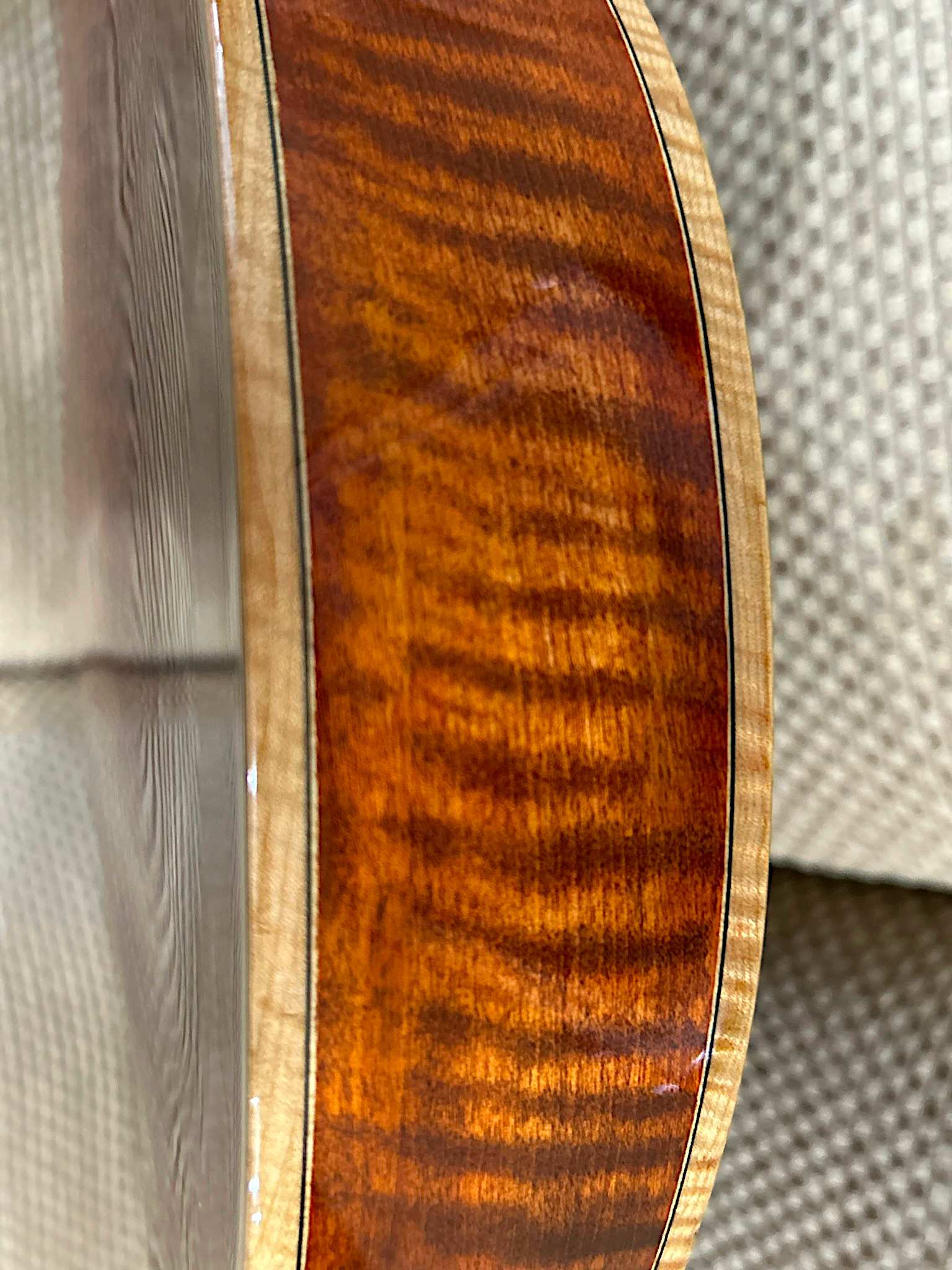 Eastman Jazz Elite 16"-rim-jpeg