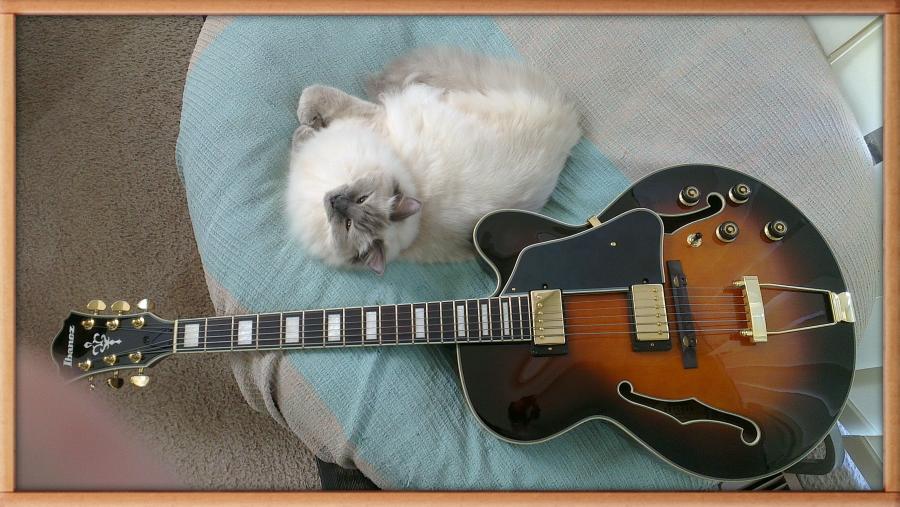 Perfect Jazz Guitar?-imag0055-1-jpg